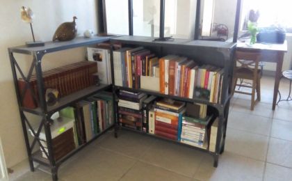 Bibliothèque + verrière